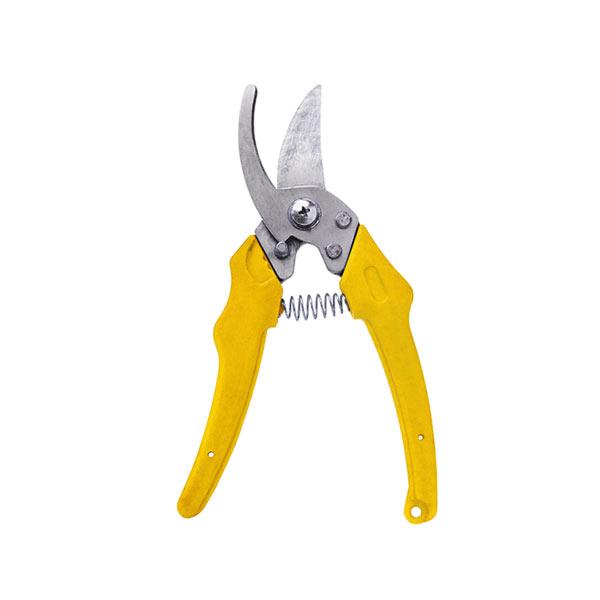 الكل في واحد الراقي